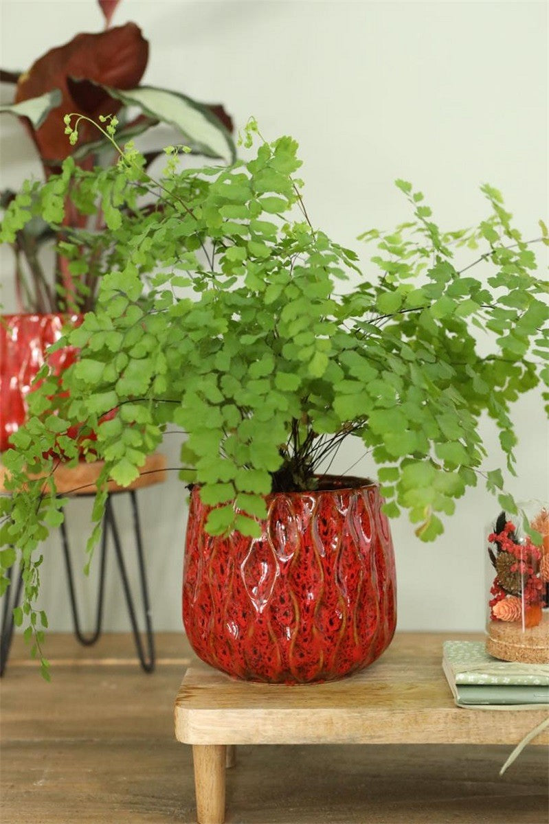 WAVE POT 15X12HCM RED