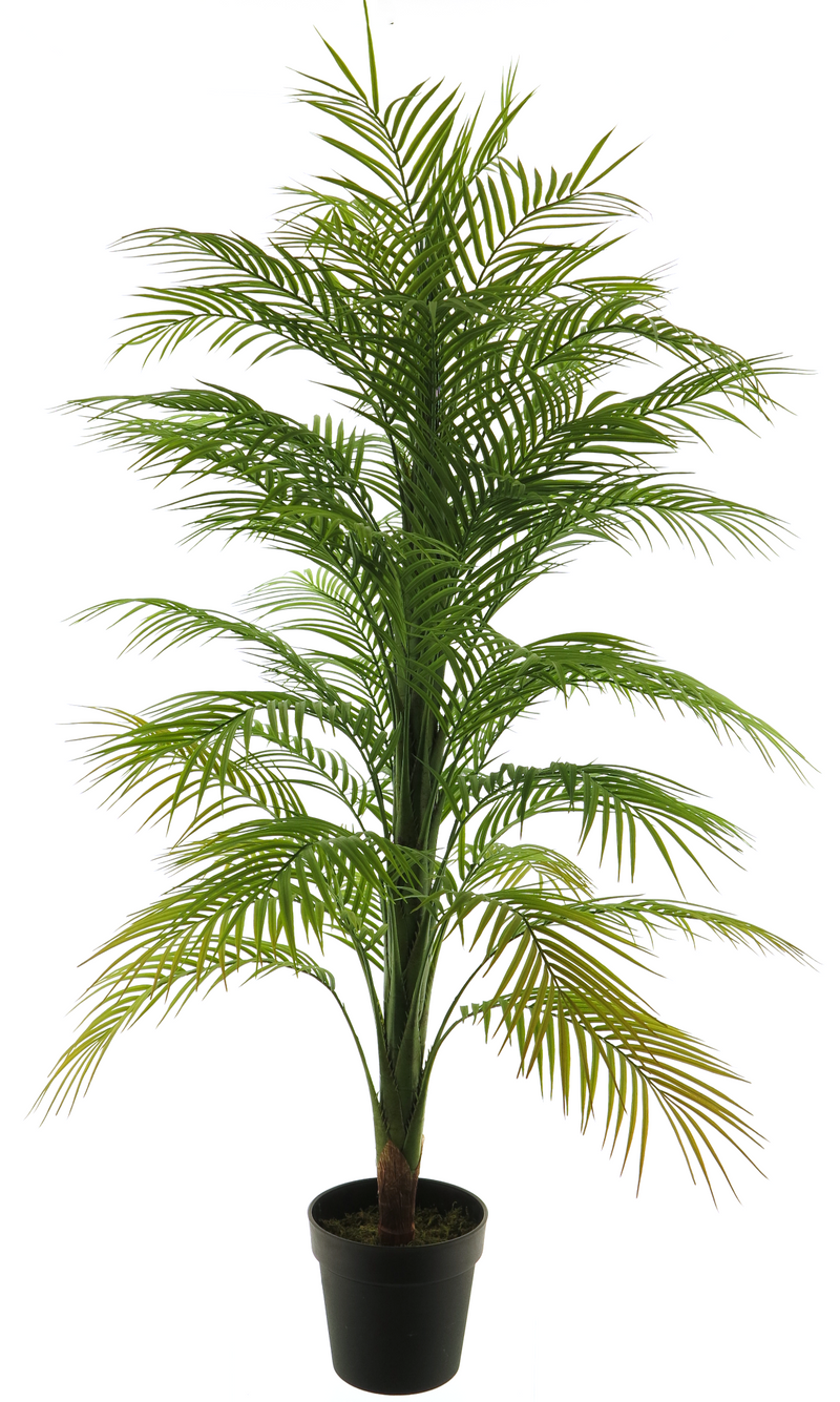 Artificial Palm in Pot — 51996-1 — SKU 51996-1