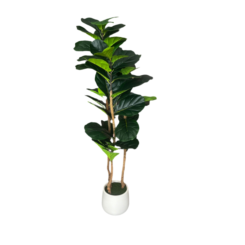 AFTIFICIAL FICUS LYRATA TREE 153CM