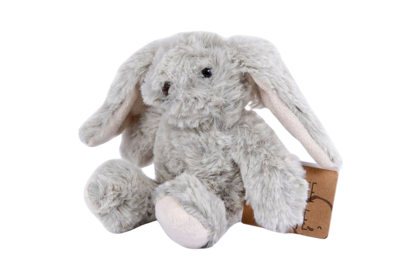 TAKE ME HOME RABBIT 19CM