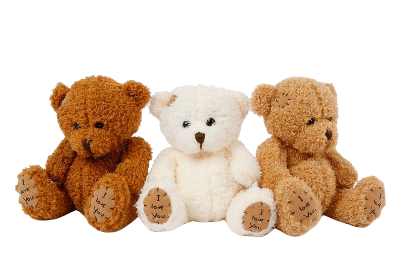 HOME PLUSH BEAR 18CM