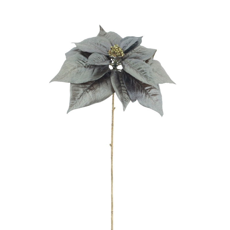 POINSETTIA BROWN  70CM