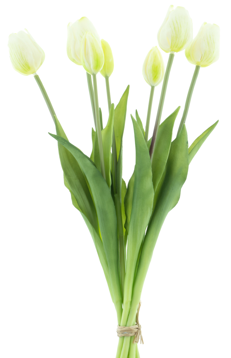 TULUIP BUNDLE X7 CREAM 47CM