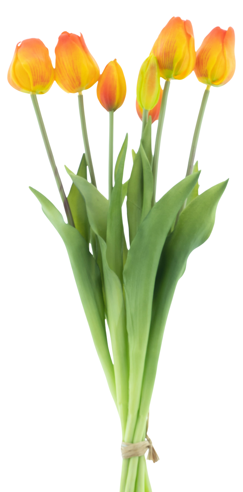 CLASSIC TULIP ORANGE X7 47CM