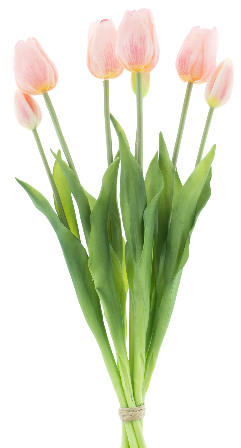 TULIP BUNDLE X7 PINK 47CM