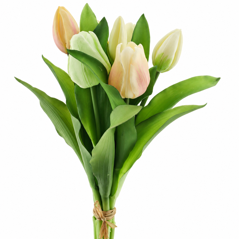 VERMEER TULIP YELLOW/WHITE 31CM on white background