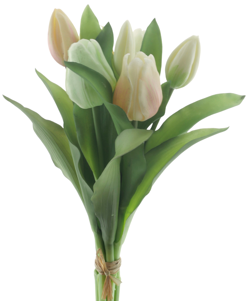 VERMEER TULIP YELLOW/WHITE 31CM