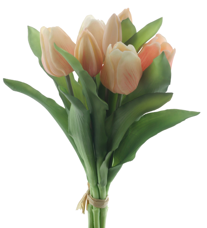 VERMEER TULIP ORANGE/PEACH 31CM