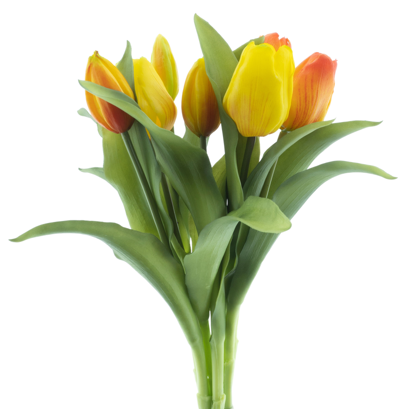 VERMEER TULIP PINK 31CM