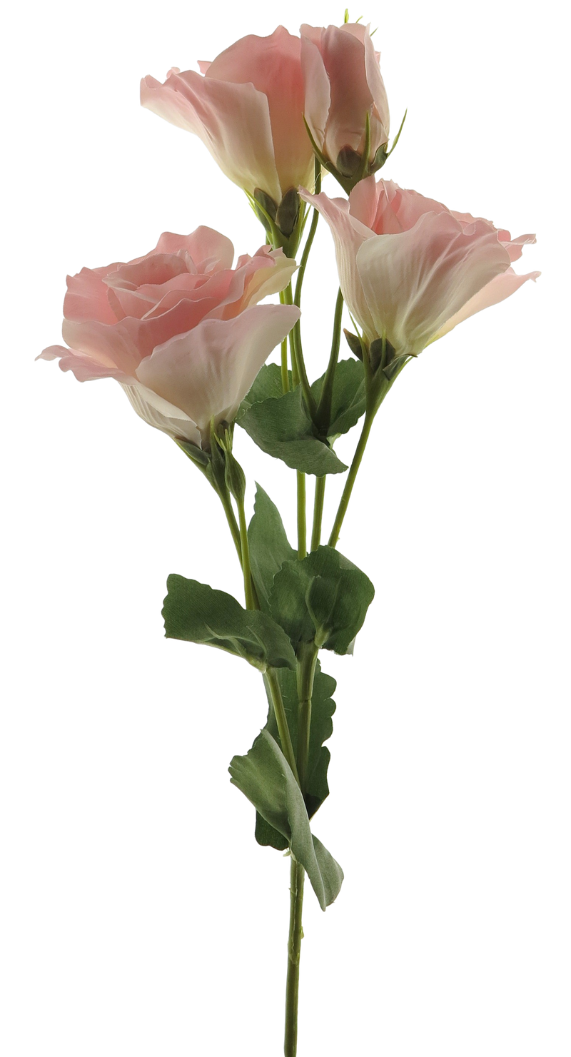 EUSTOMA ALARA SPRAY PINK 53CM