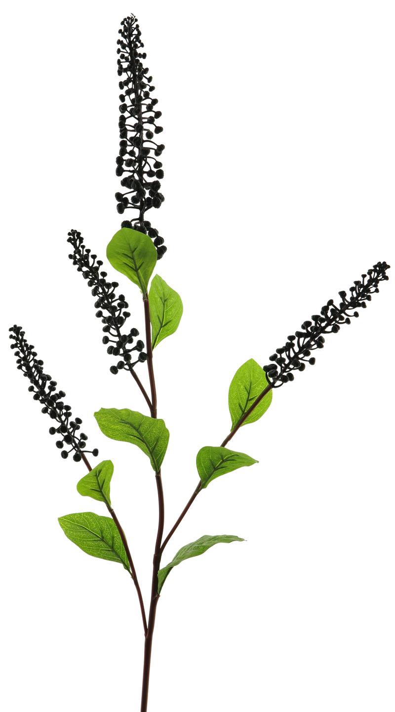 PHYTOLACCA SPRAY BLACK/PURPLE 98CM