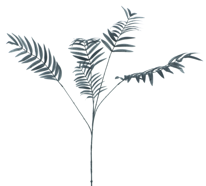 PALM SPRAY BLACK 110CM