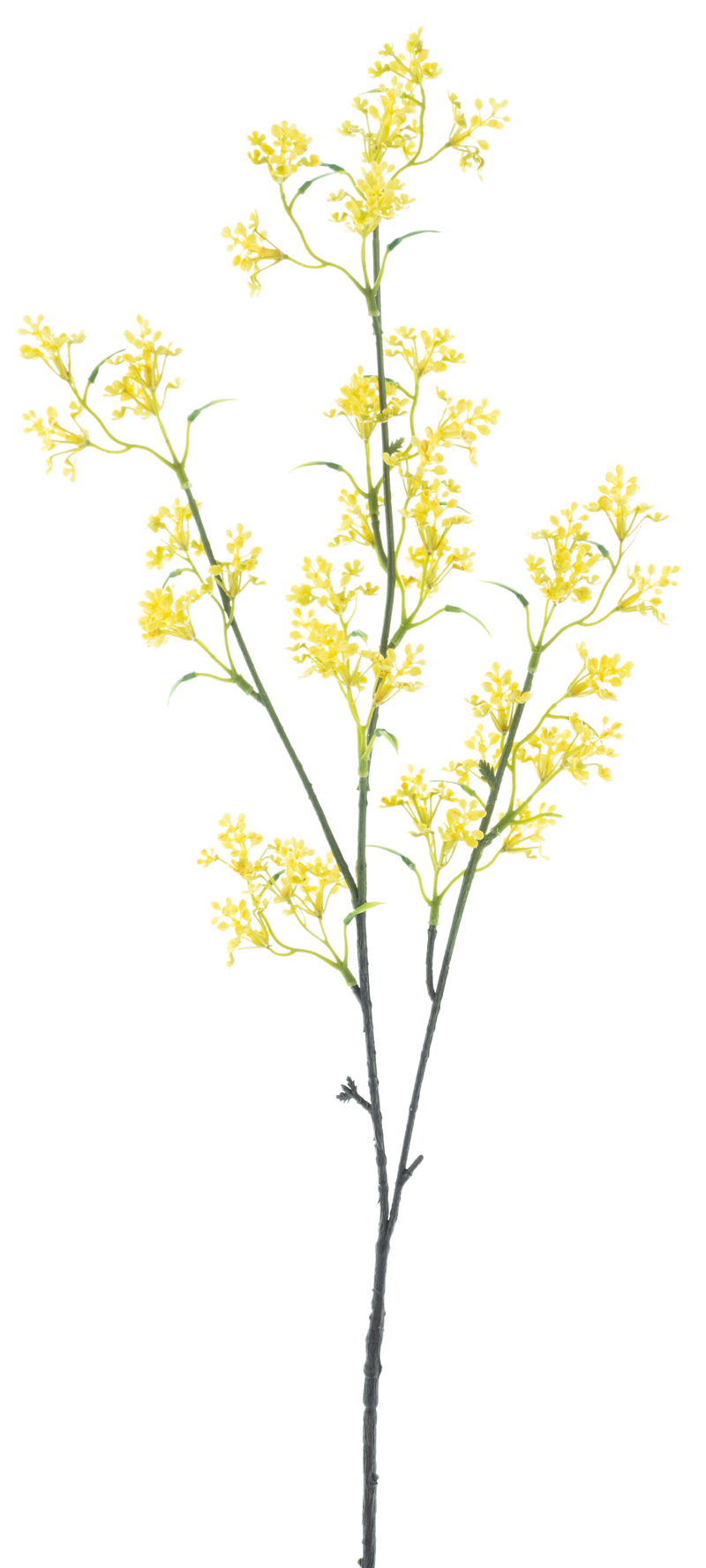 WILD PYPSO FLOWER YELLOW 84CM