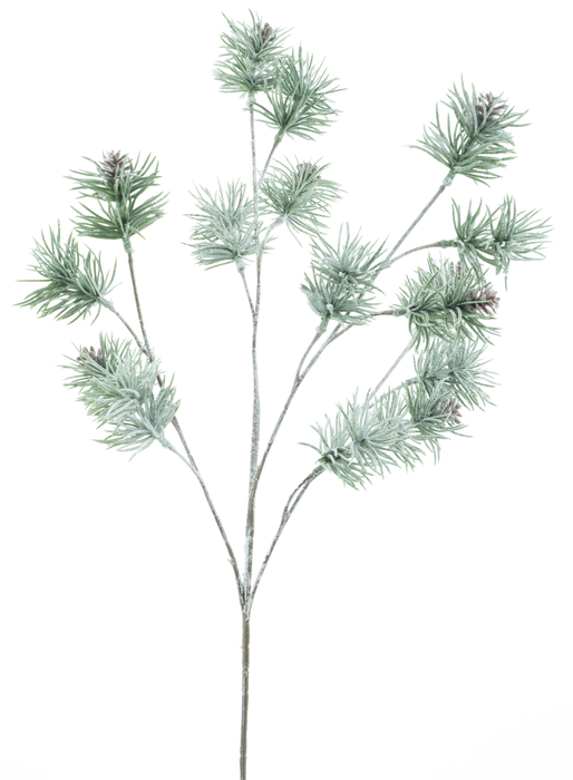PINE SPRAY WITH CONES ICED 69CM