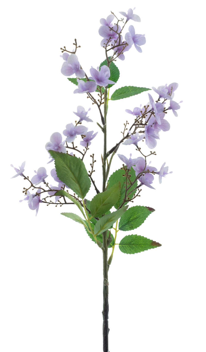 WILD ROSE PURPLE 52CM