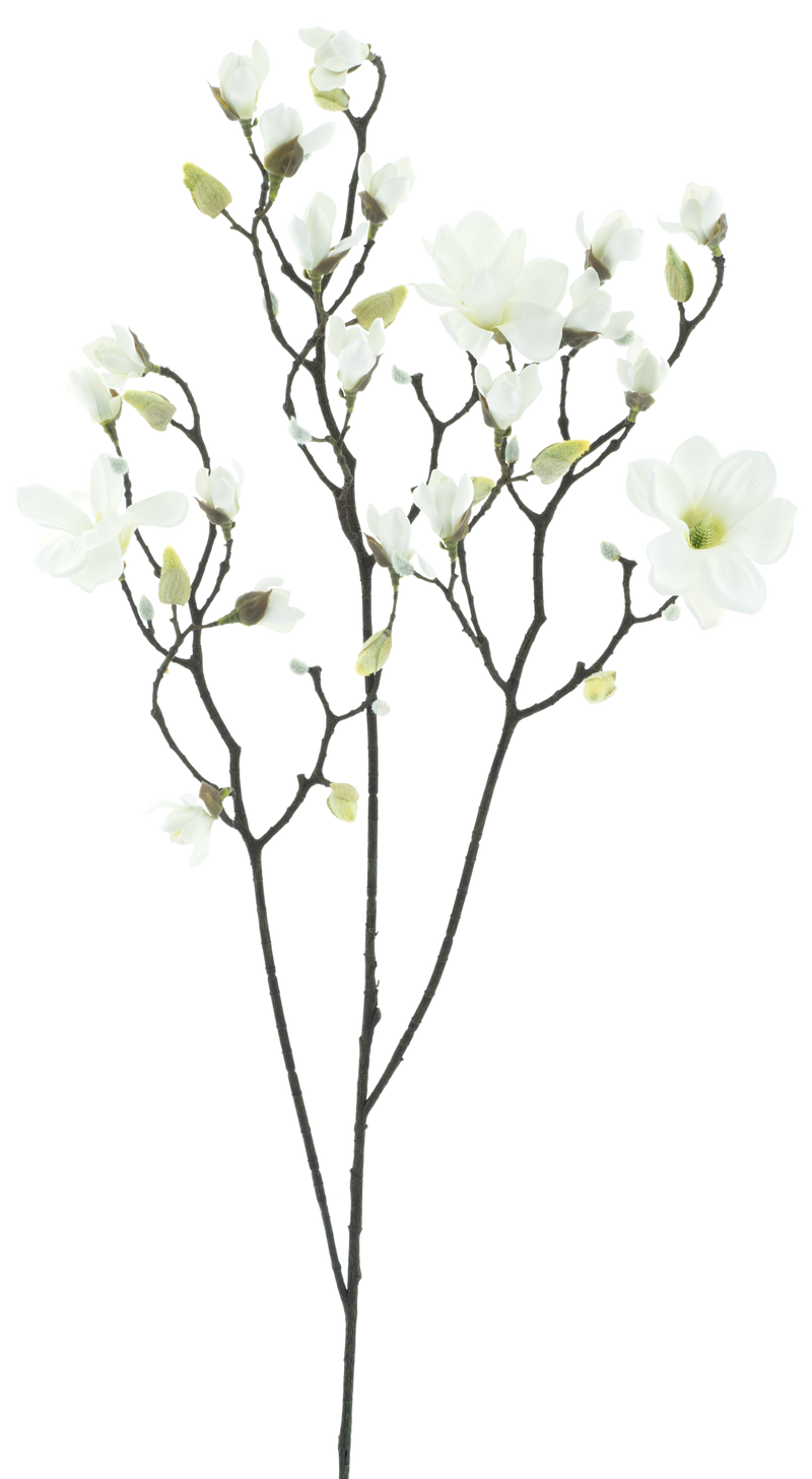 MAGNOLIA WHITE 123CM