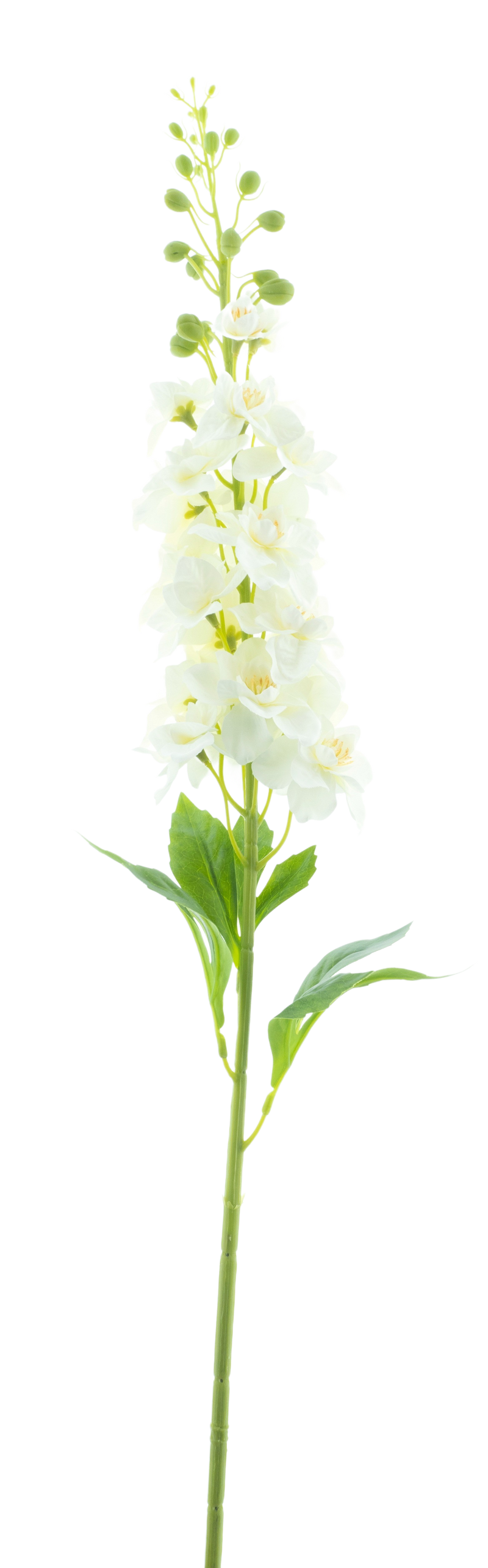 DELPHINIUM SPRAY WHITE 87CM