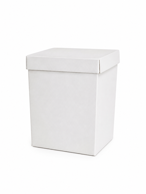 MONEY BOX 30x34x34cm Deventor