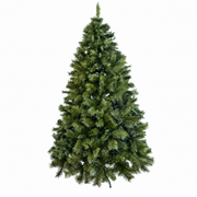 Green GMCT Christmas tree with dense foliage