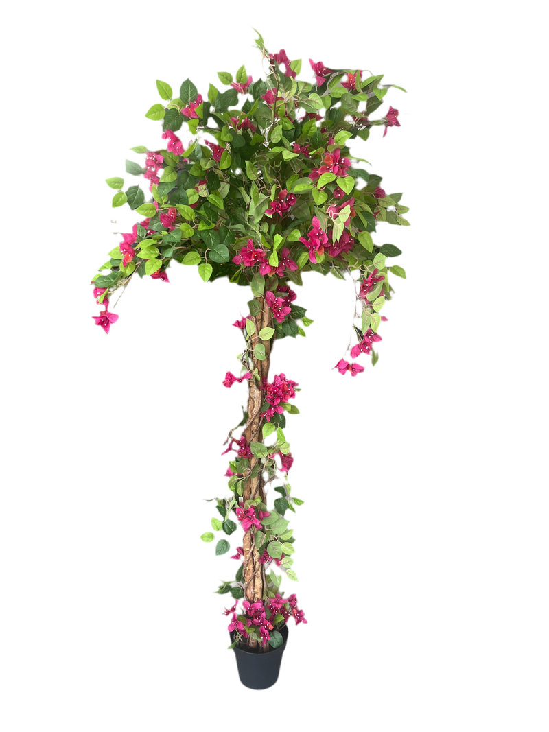 ARTIFICIAL BOUGAINVILLEA TREE 185CM