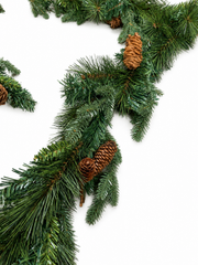 Close-up of Christmas garland needles and brown pine cones on white background