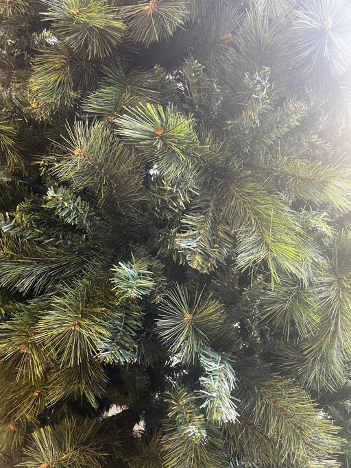 Original close-up photograph of GMCT Christmas tree branches showing mixed green needle textures