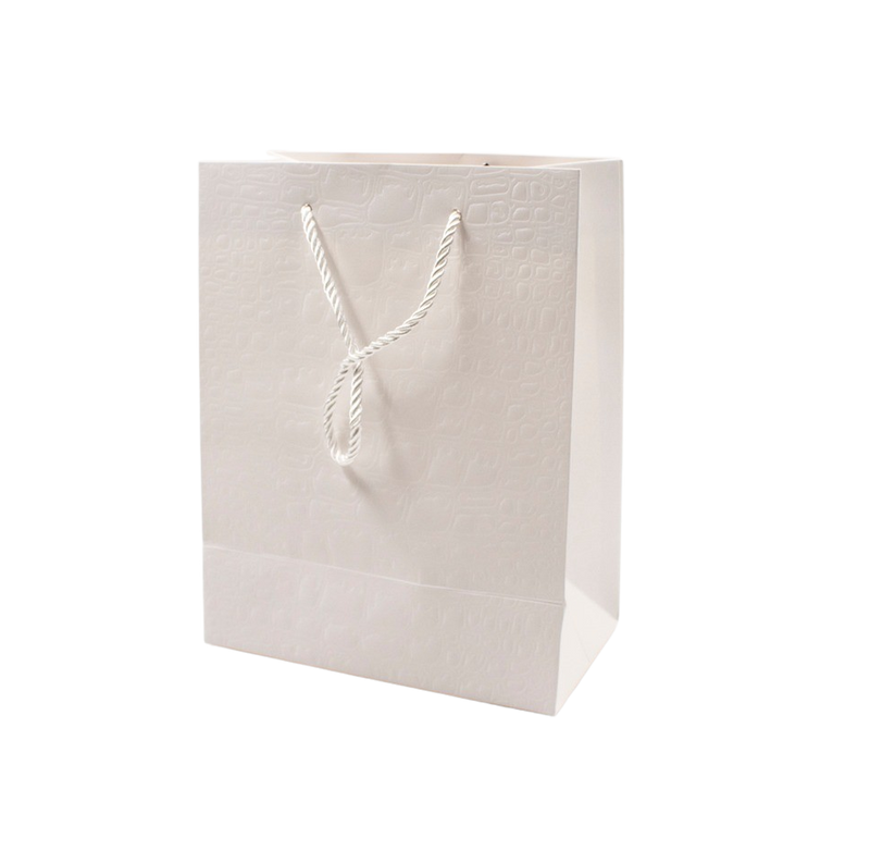 PAPER BAG WHITE 23x18x9cm