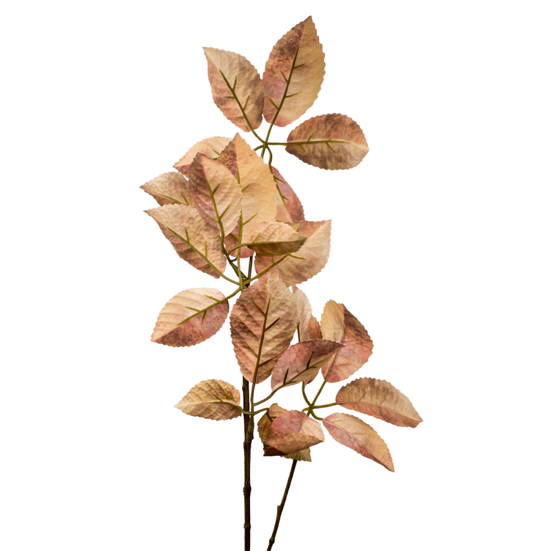 STAR LEAF MIRJA BROWN 83CM