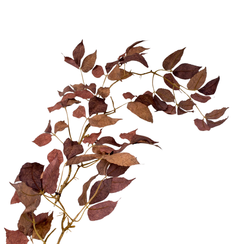 MOUNTAIN LEAF GARLAND BROWN 114CM