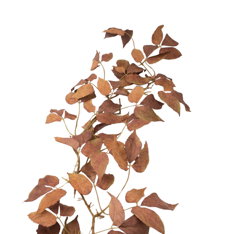 MOUNTAIN LEAF GARLAND BROWN 122CM