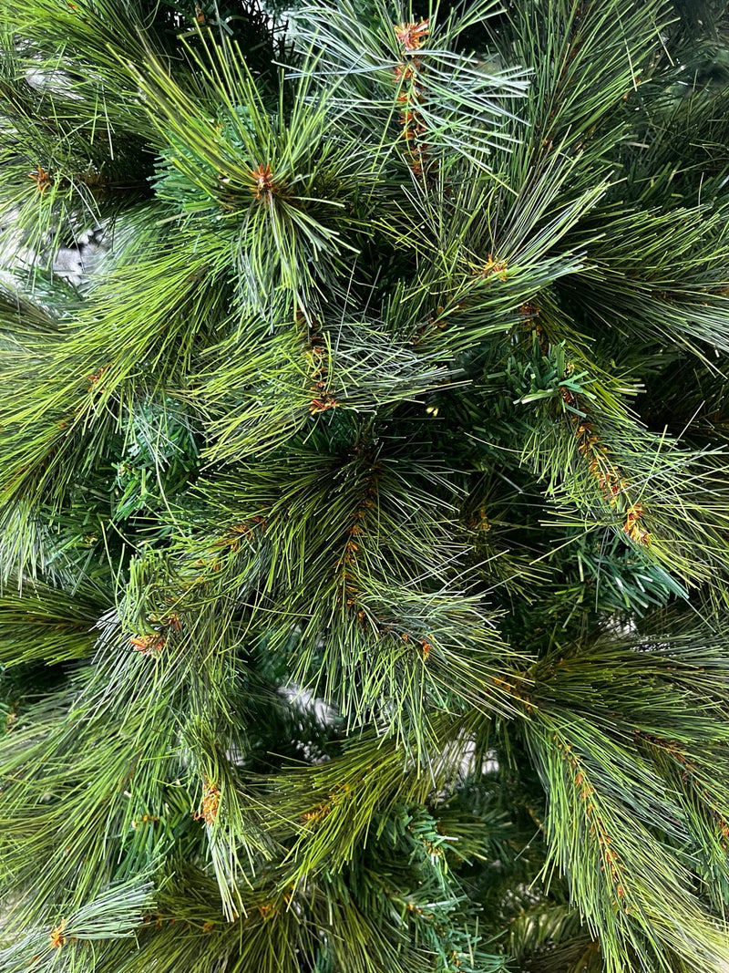 Close-up of GMCT Christmas tree needles and branch construction