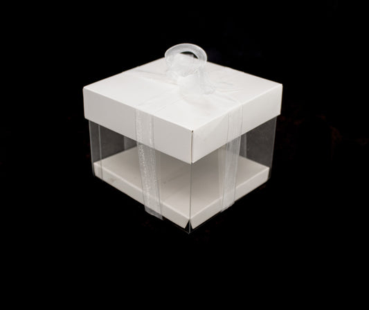 Paper box pvc 10x10x8cm (20PCS)