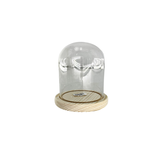 GLASS DOME 10X11.5CM
