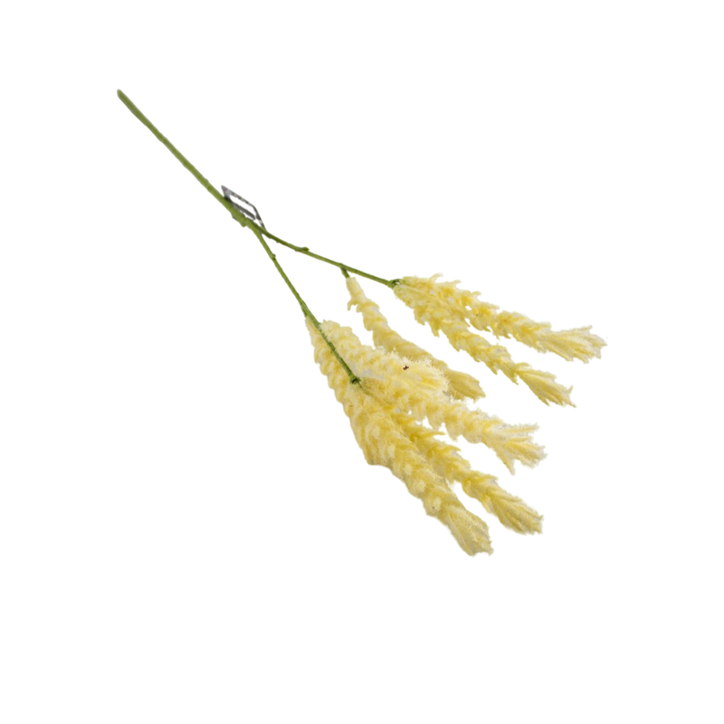 WHEAT SPRAY CREAM 70CM