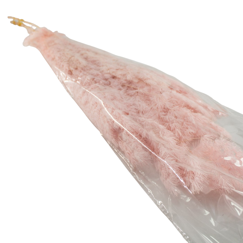 PRESERVED PLANT PINK