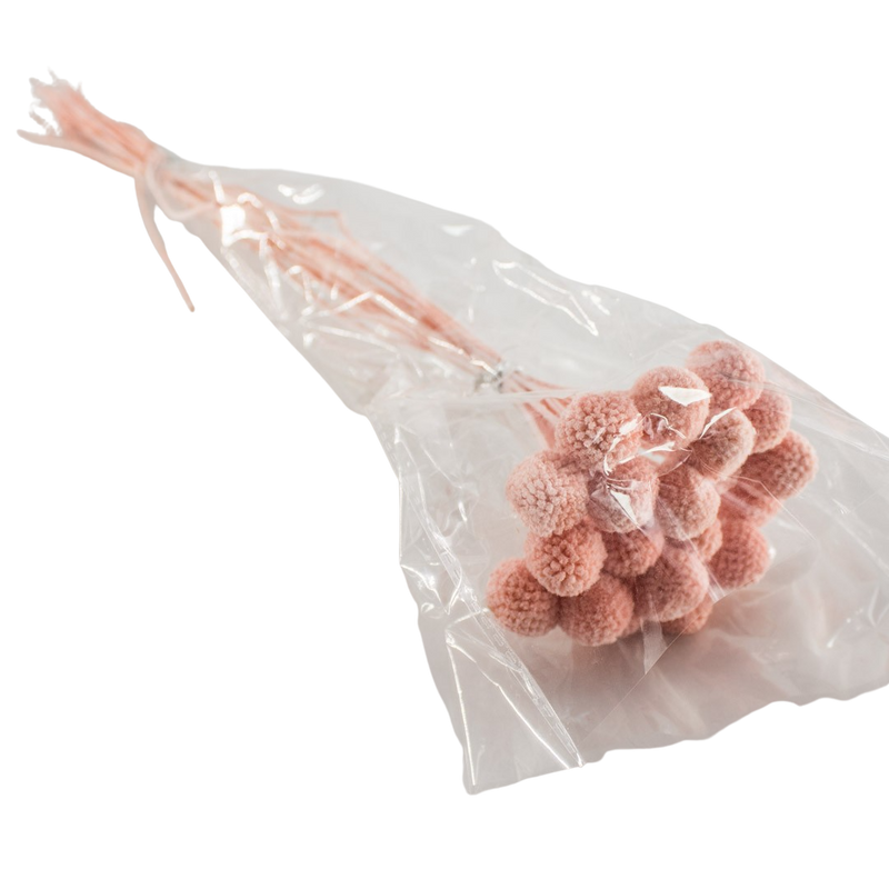 PRESERVED PLANT PINK