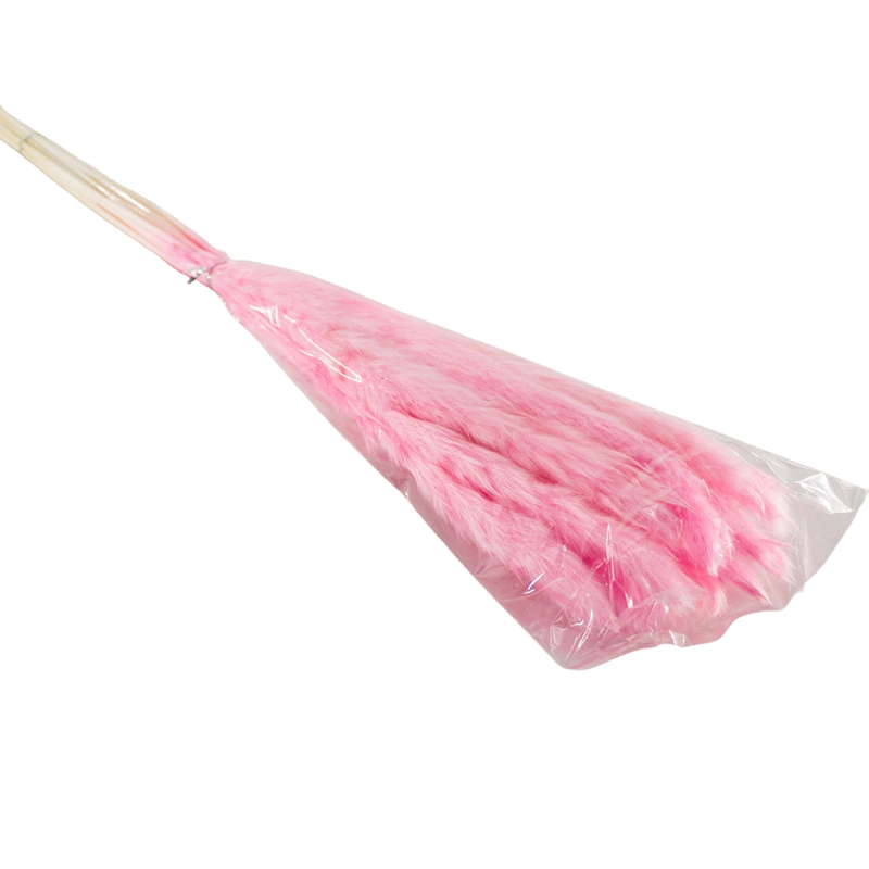 PRESERVED PLANT PINK