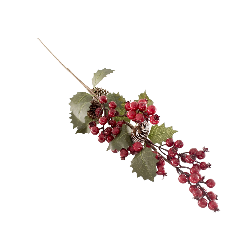 X-MAS BERRY