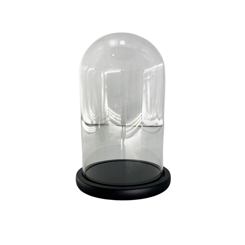 WOODEN BASE WITH GLASS 12X20CM