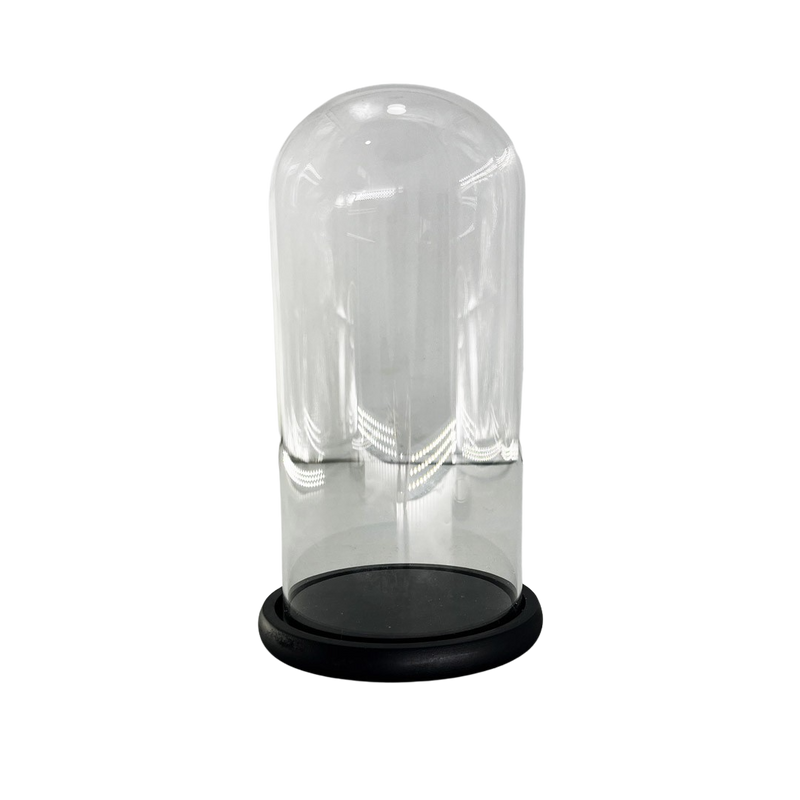 WOODEN BASE WITH GLASS 12X25CM