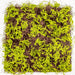 Artificial moss sheet - Deventor