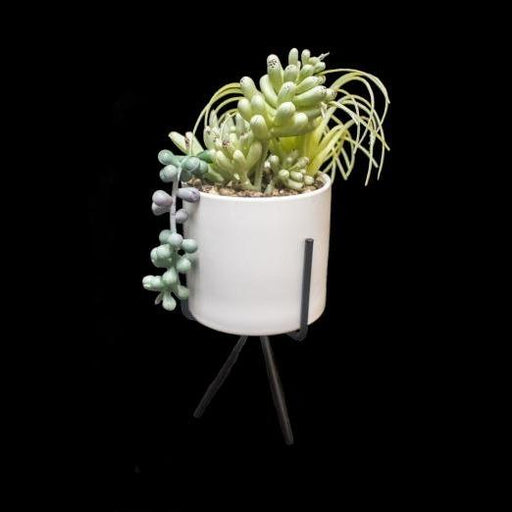 Artificial succulents - Deventor