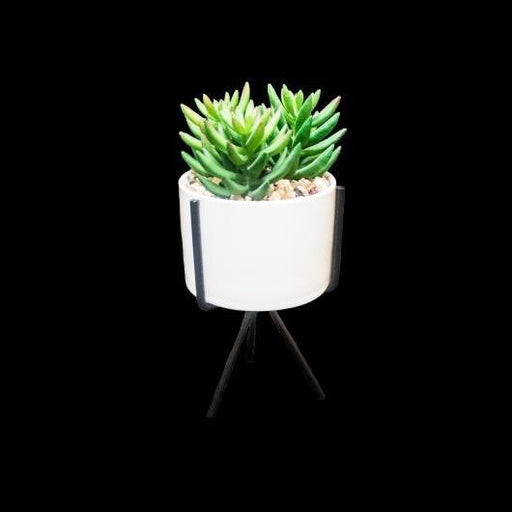 Artificial succulents - Deventor