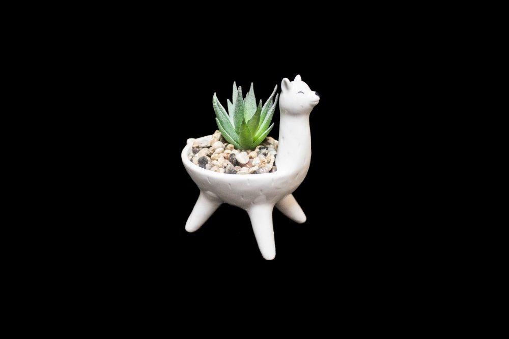 Floral pot with artificial succulent - Deventor