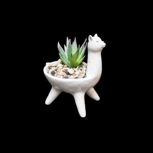 Floral pot with artificial succulent - Deventor