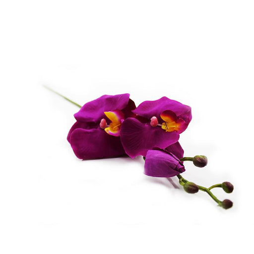 Orchid 61cm - Deventor