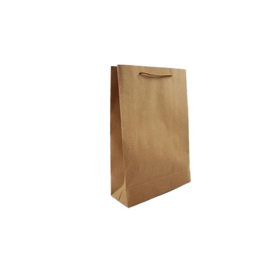 Paper bag 27x36x9.5cm - Deventor