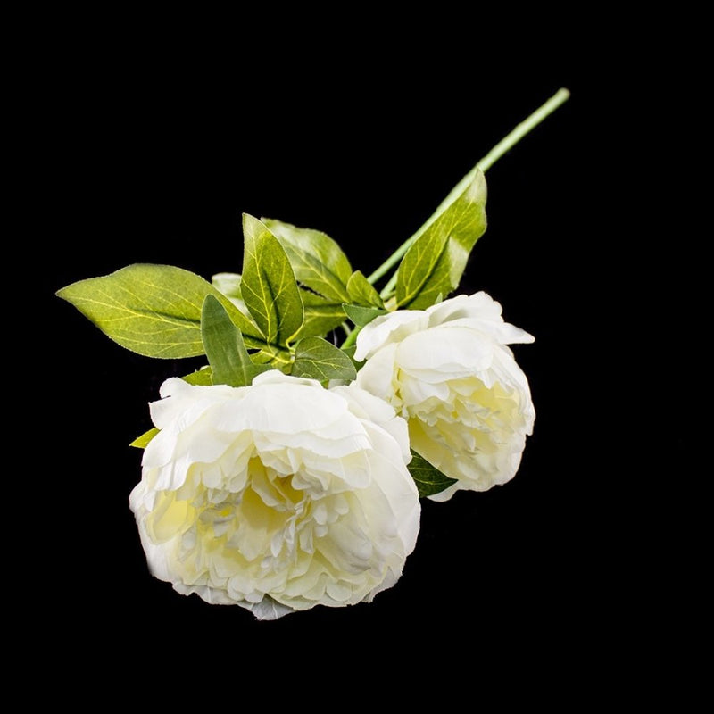 Peony Stem - Deventor