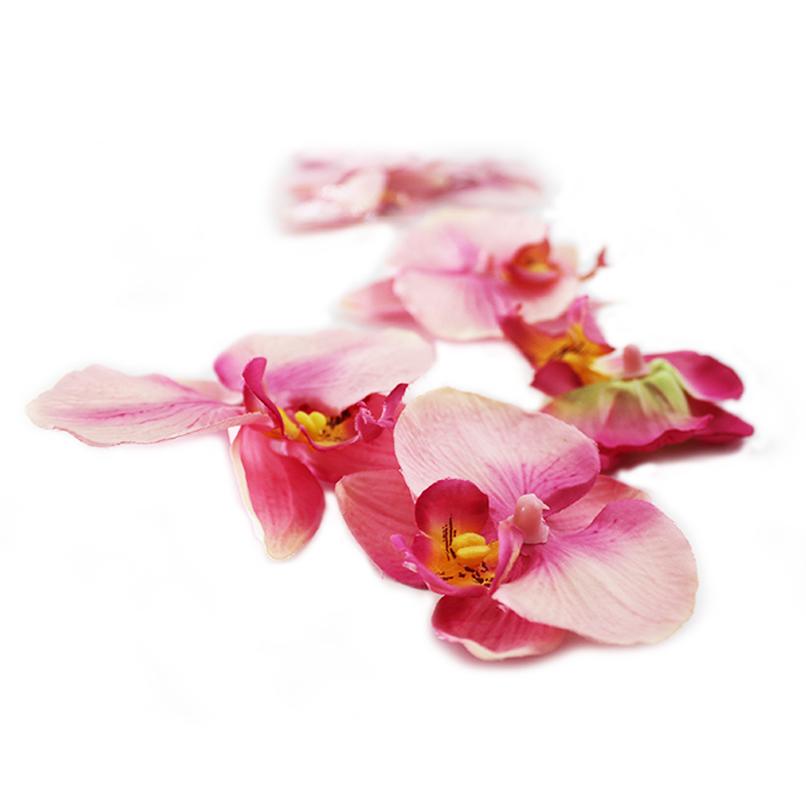 Phalaenopsis flower - Deventor