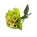 Rose 32cm - Deventor